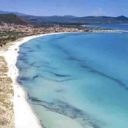 Under The Lemon Tree * La Caletta