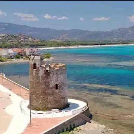 Under The Lemon Tree *