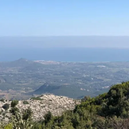 Lejlighed Under The Lemon Tree