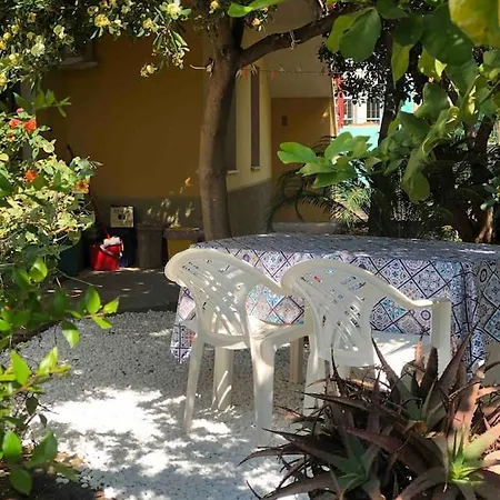 Under The Lemon Tree La Caletta