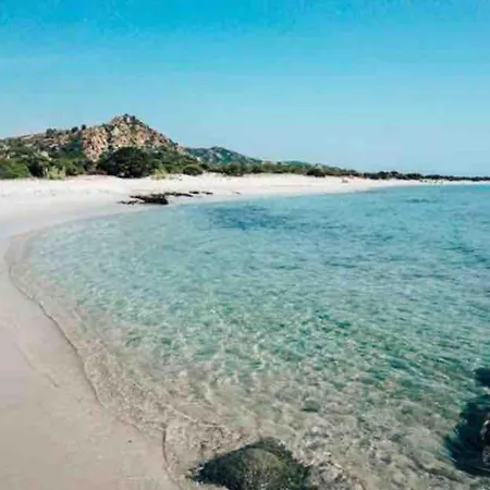 Under The Lemon Tree * Ла-Калетта