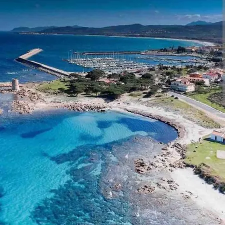 Under The Lemon Tree *