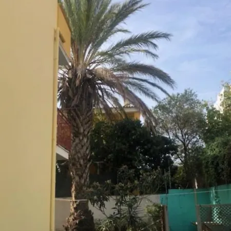 Апартаменты Under The Lemon Tree *