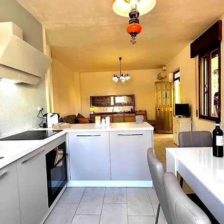 Under The Lemon Tree