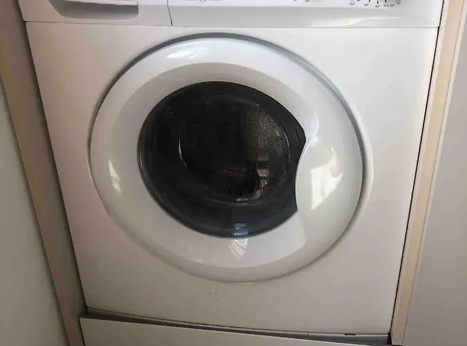 Under The Lemon Tree *