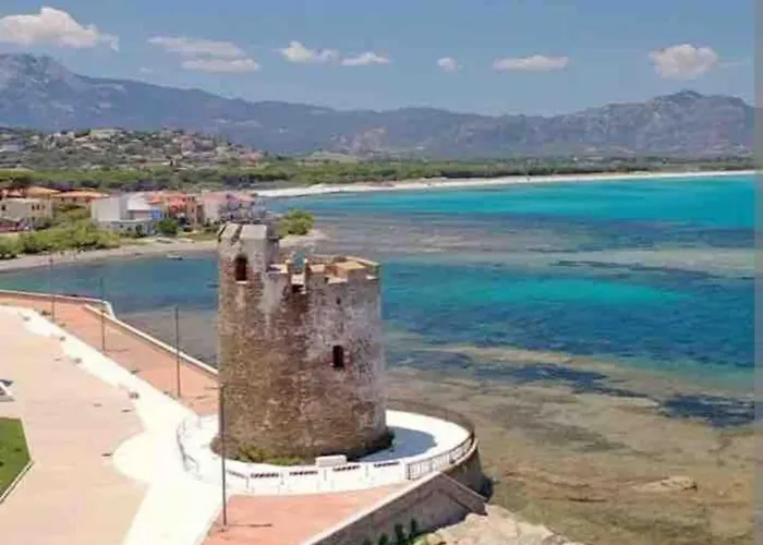 Under The Lemon Tree *