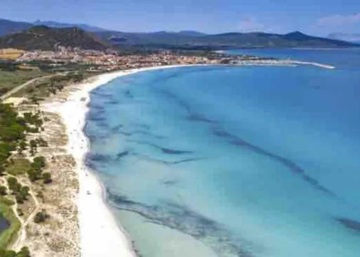 Under The Lemon Tree * لا كاليتا