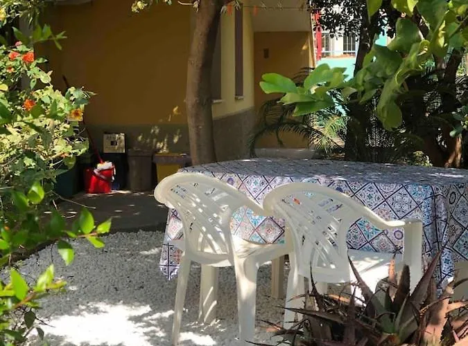 Under The Lemon Tree لا كاليتا