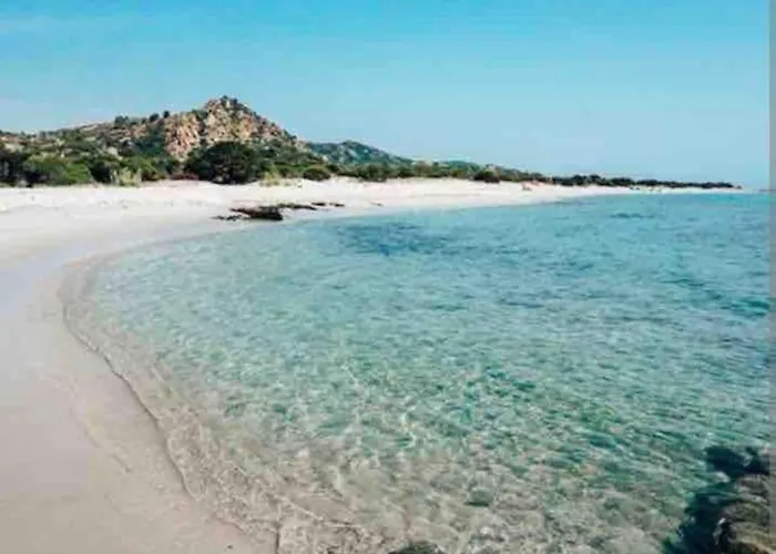 Under The Lemon Tree * La Caletta