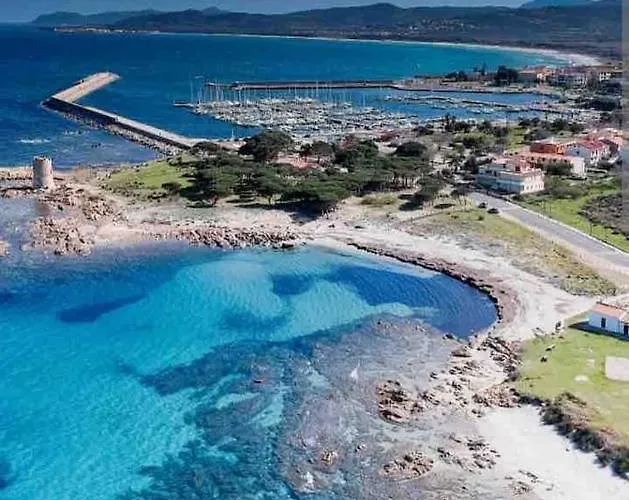 Under The Lemon Tree *