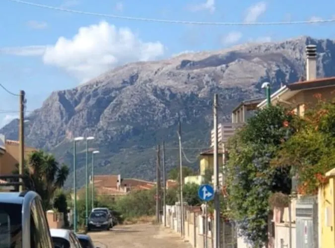 Under The Lemon Tree لا كاليتا