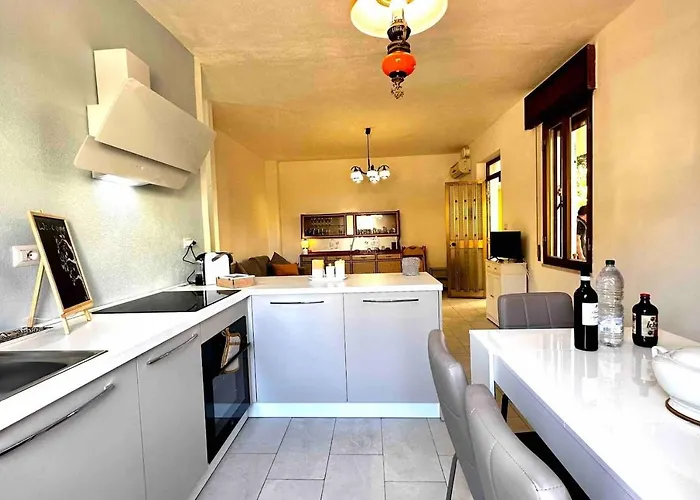 Under The Lemon Tree